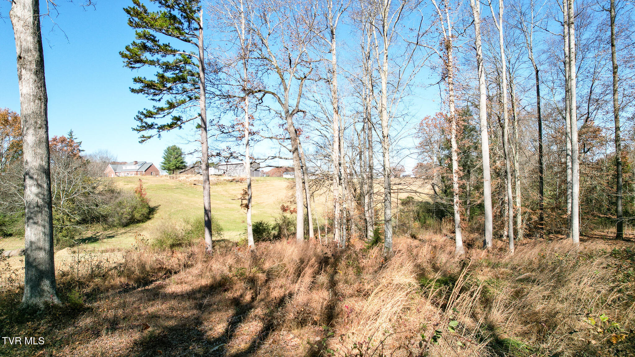 190 Treadway Road Chuckey, TN 37641 - Photo 23 of 28 DJI_0225