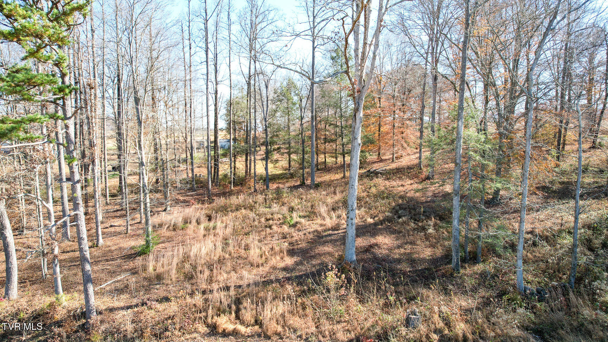 190 Treadway Road Chuckey, TN 37641 - Photo 25 of 28 DJI_0241