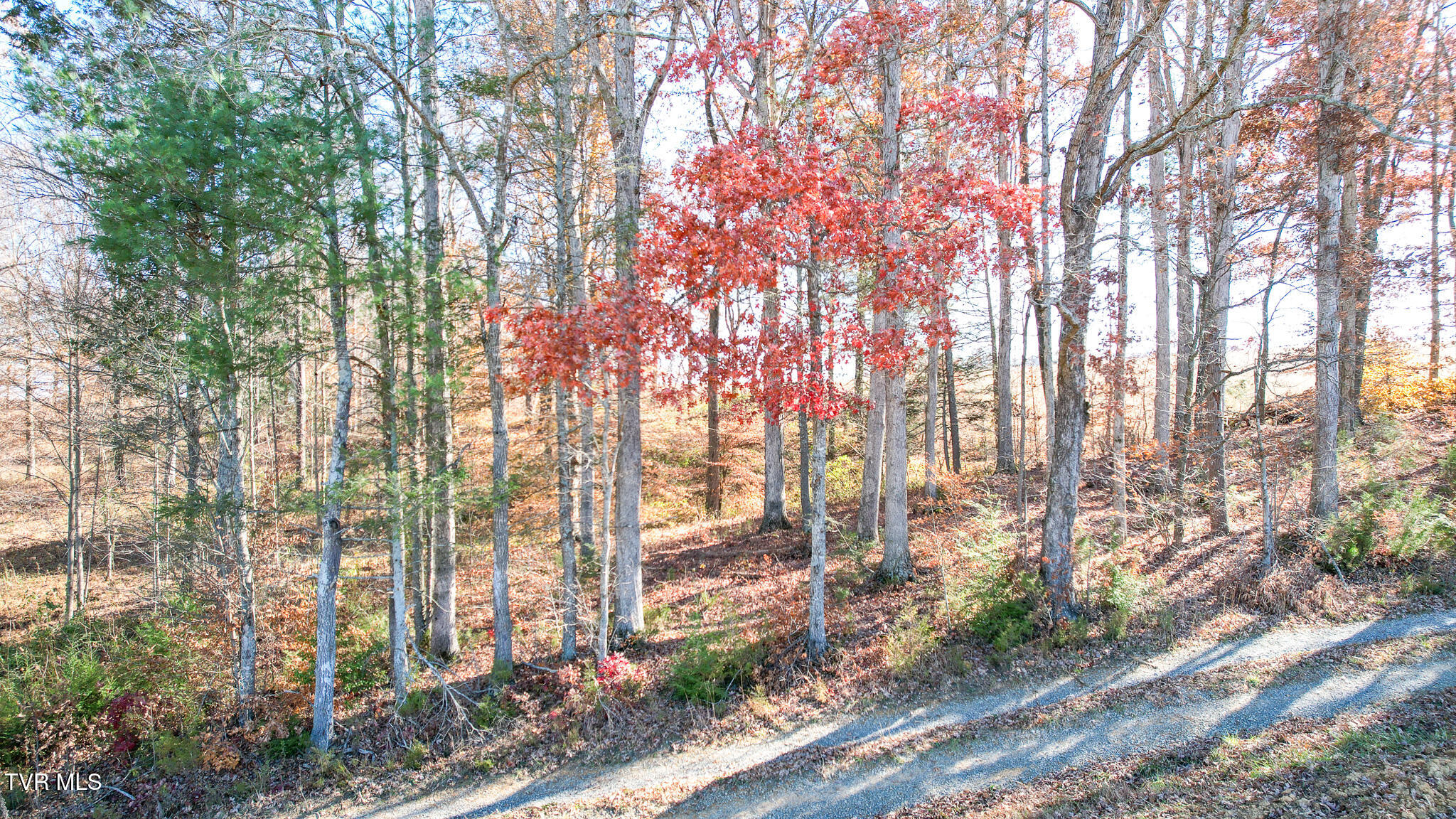 190 Treadway Road Chuckey, TN 37641 - Photo 26 of 28 DJI_0245