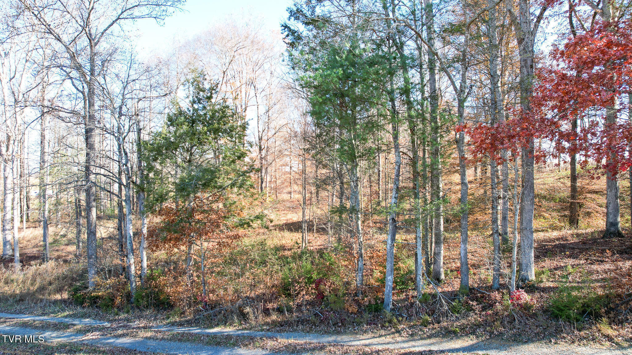 190 Treadway Road Chuckey, TN 37641 - Photo 27 of 28 DJI_0246