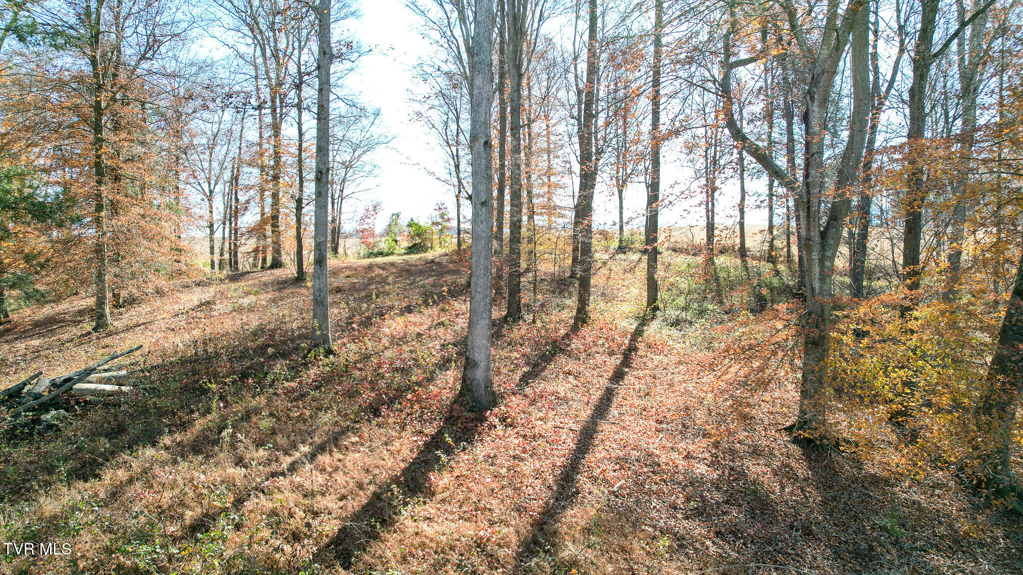 190 Treadway Road Chuckey, TN 37641 - Photo 6 of 28 DJI_0228