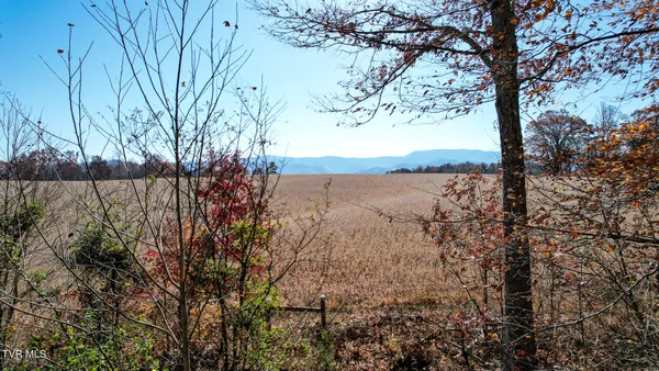 $115,000 | 190 Treadway Road, Chuckey, TN 37641