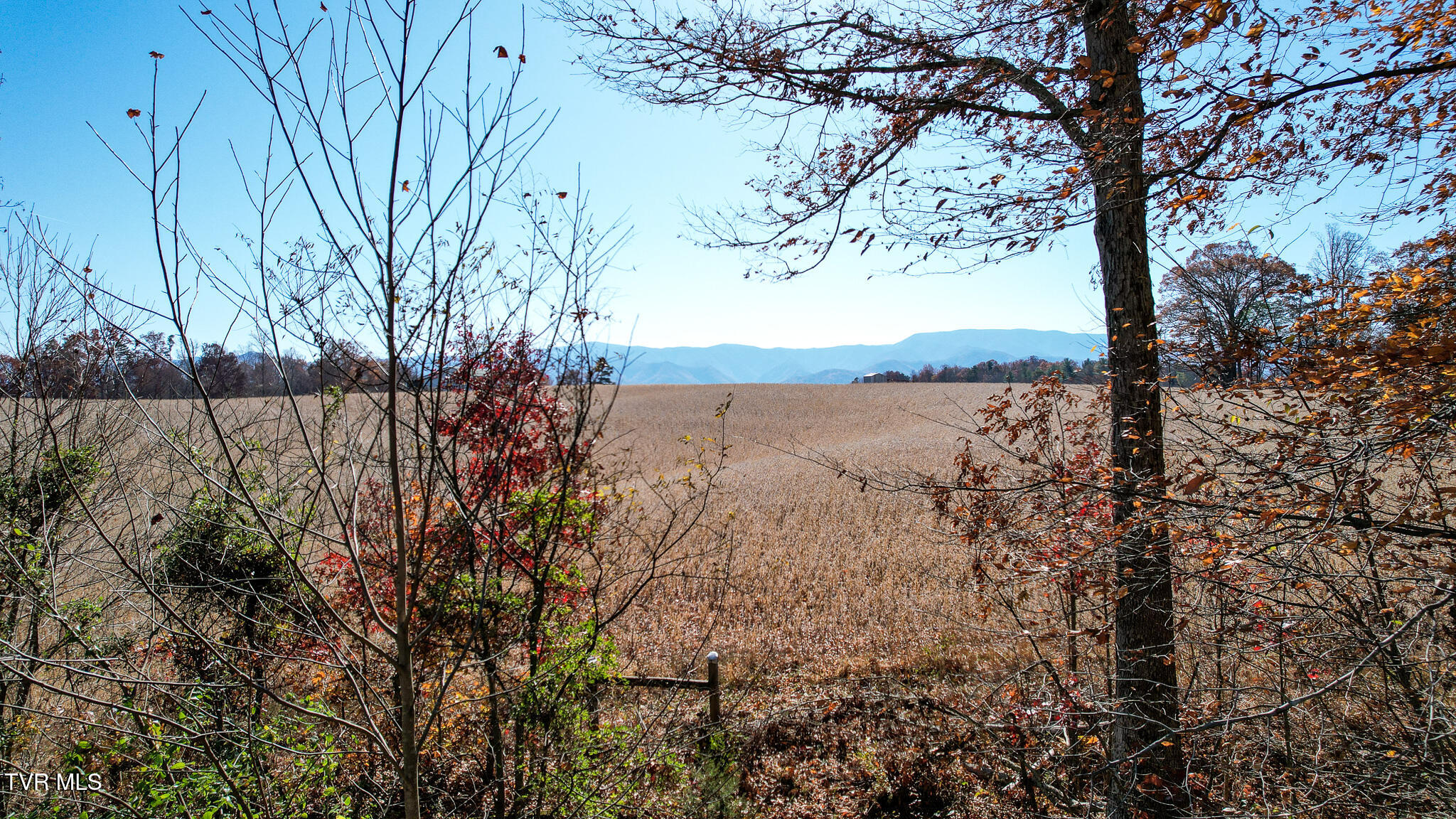 190 Treadway Road Chuckey, TN 37641 - Photo 8 of 28 DJI_0218