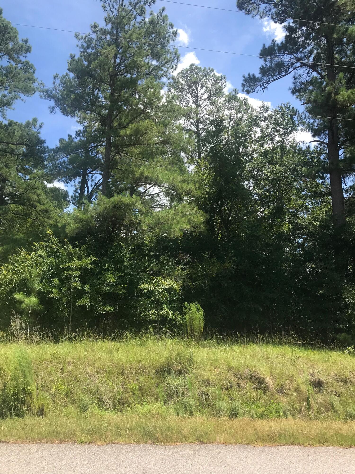 210 Flowing Well Road Wagener, SC 29164 - Photo 7 of 7