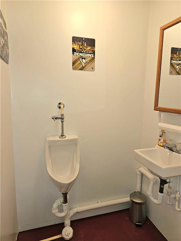 342 Concord Church Road Beaver Falls, PA 15010 - Photo 40 of 44 a bathroom with a sink a mirror and vanity