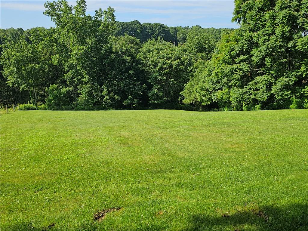 342 Concord Church Road Beaver Falls, PA 15010 - Photo 9 of 44 a view of field with trees in the background