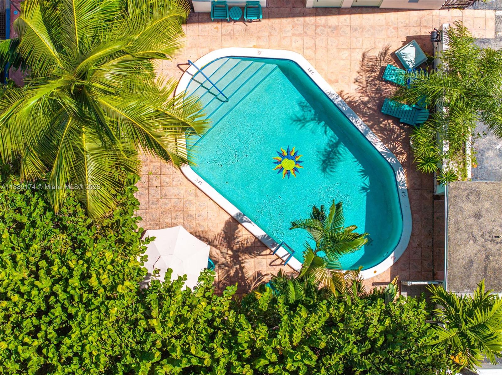 1390 Ocean Drive, Unit 202 Miami Beach, FL 33139 - Photo 77 of 80 a view of a plant in a garden