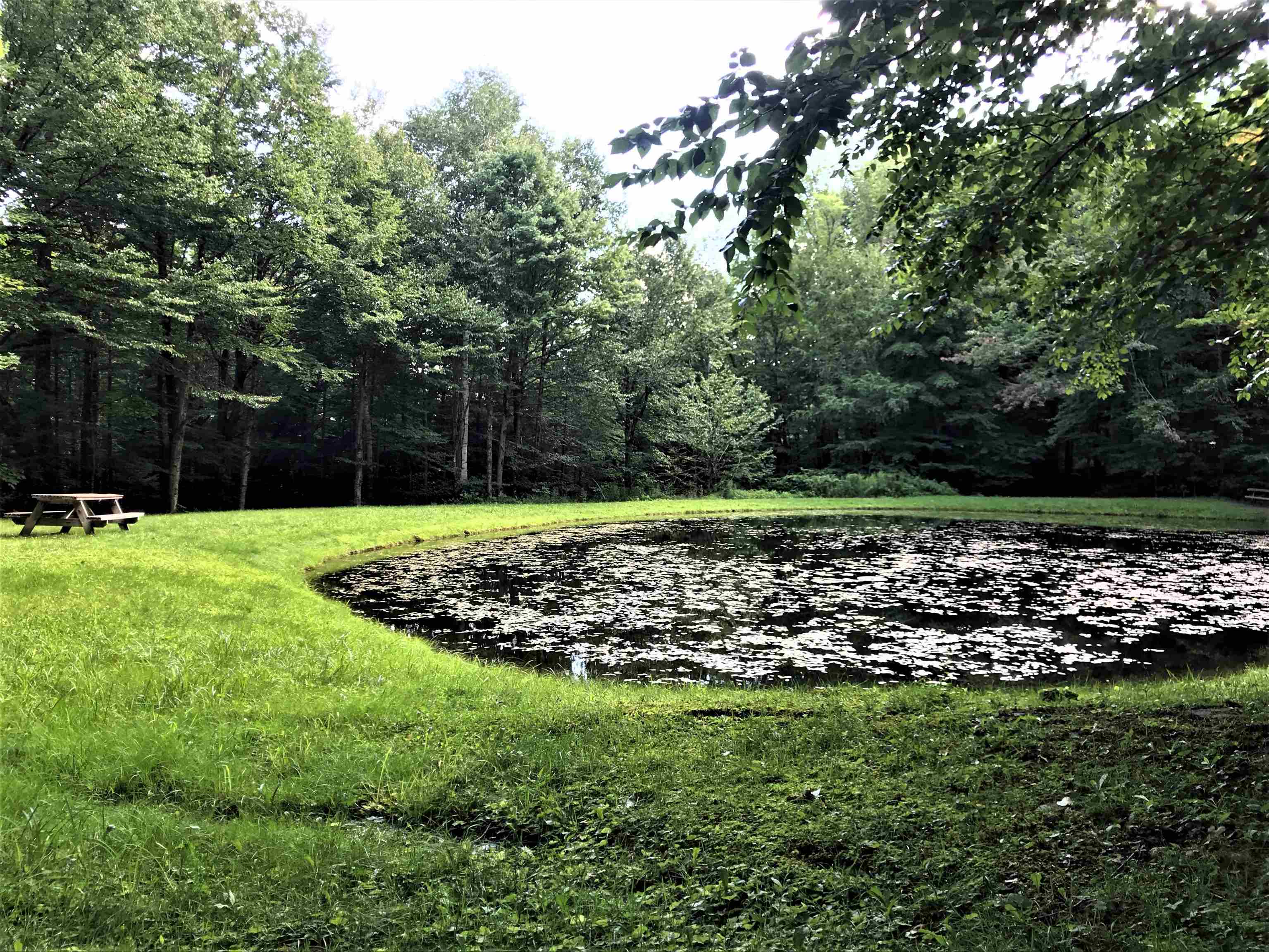 25 Upper Howes Way, Unit A25 Wilmington, VT 05363 - Photo 8 of 32