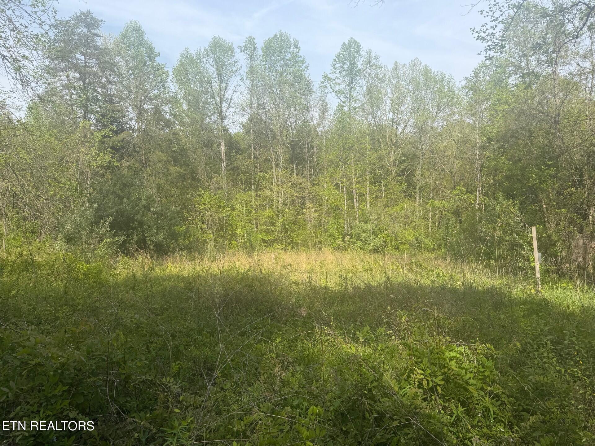 416 Satterfield Road Maynardville, TN 37807 - Photo 15 of 25 Cleared Part of Property