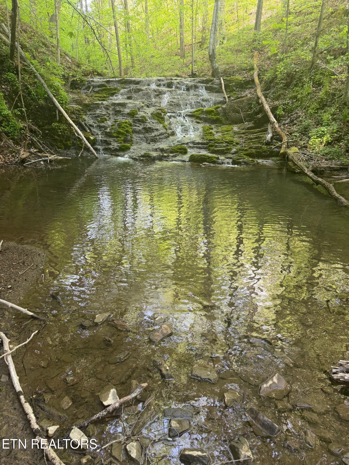 416 Satterfield Road Maynardville, TN 37807 - Photo 3 of 25 Waterfall & Creek