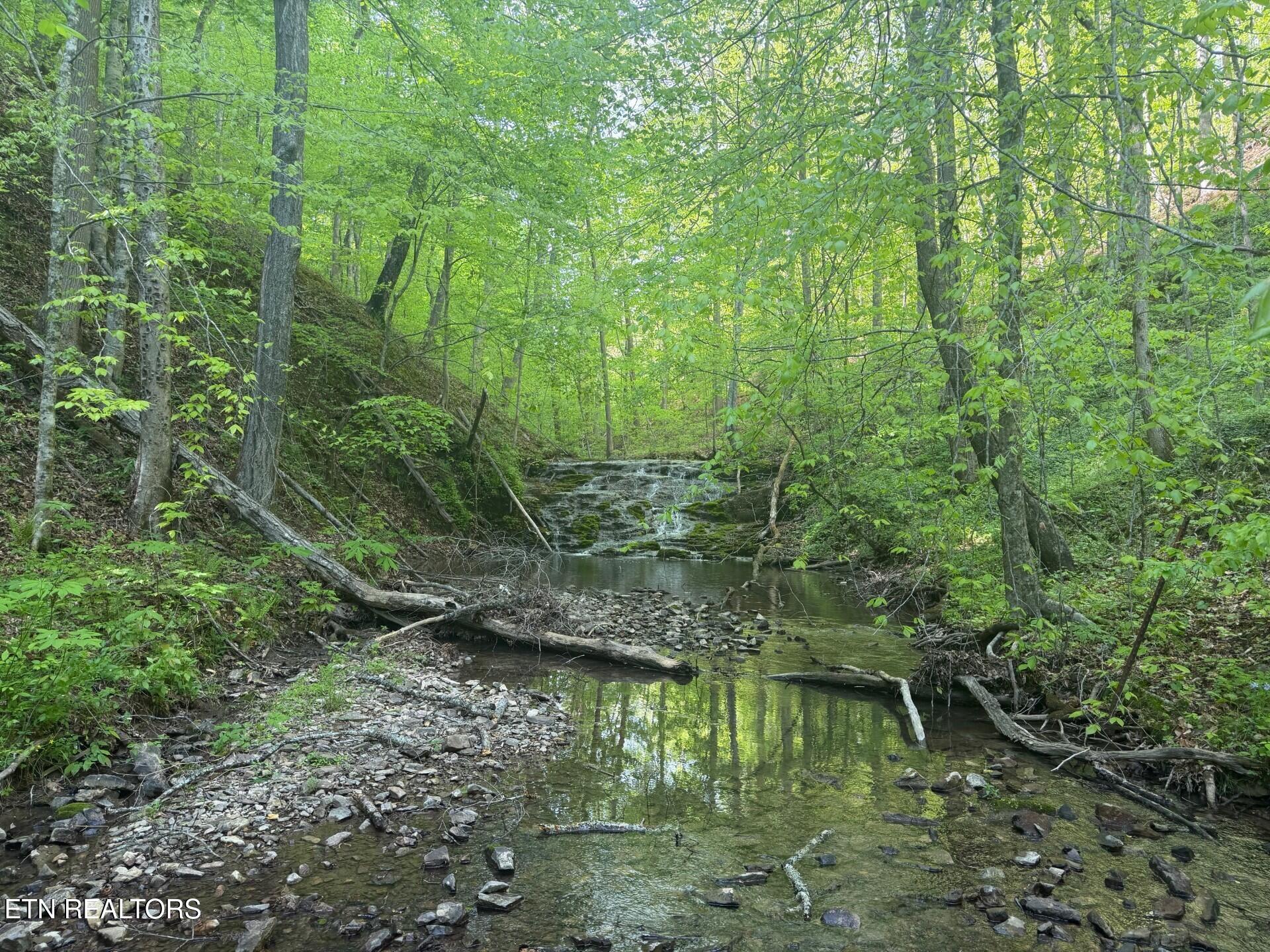 416 Satterfield Road Maynardville, TN 37807 - Photo 5 of 25 Waterfall & Creek