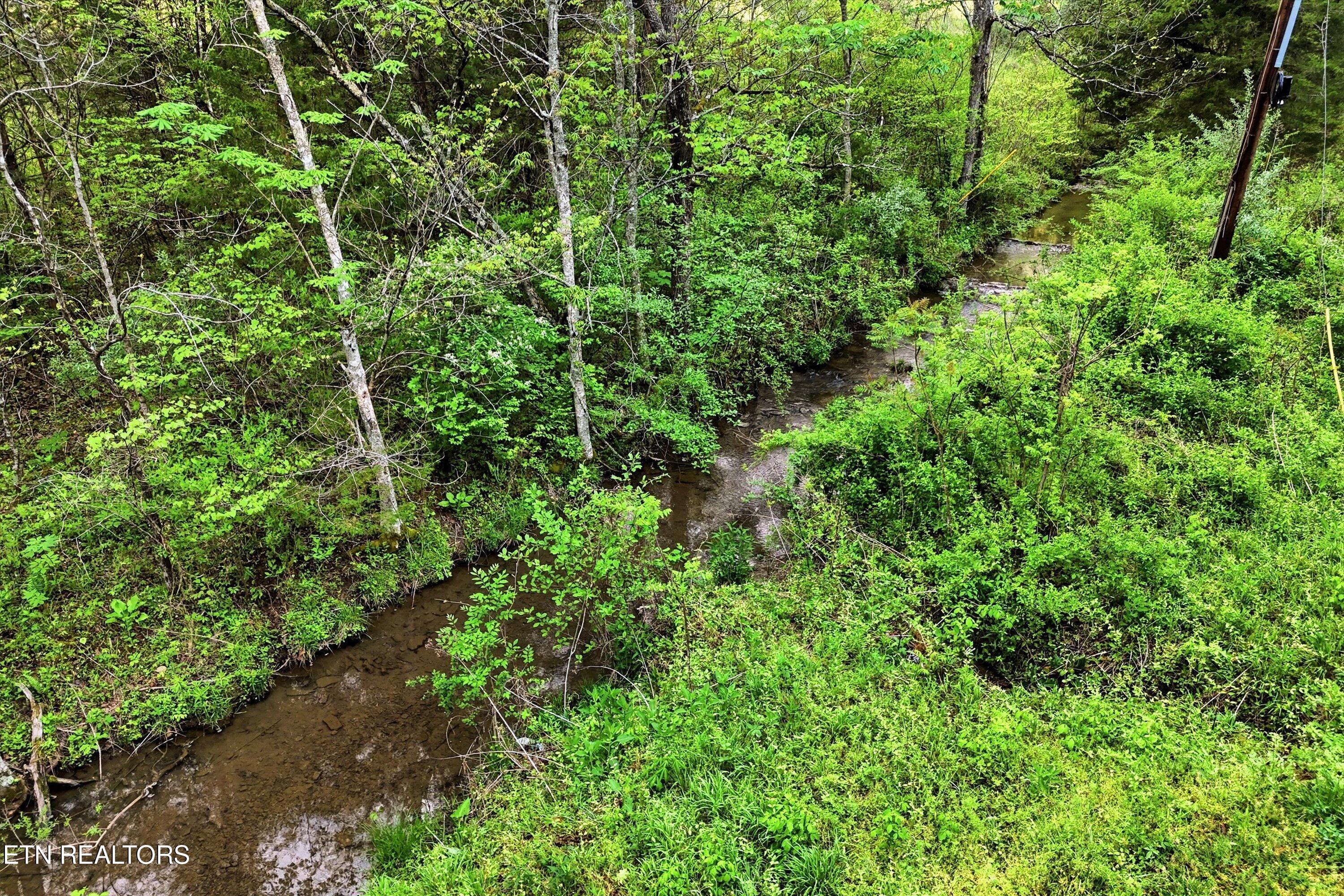 416 Satterfield Road Maynardville, TN 37807 - Photo 7 of 25 Creek on Property