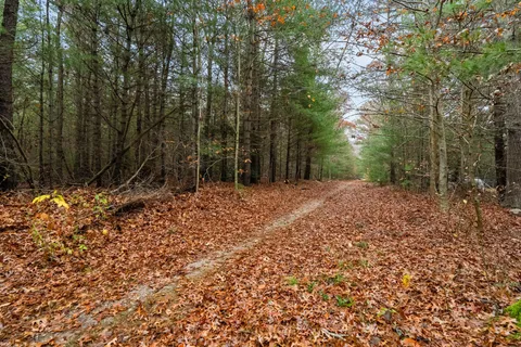 a front view of a house with a garden and trees