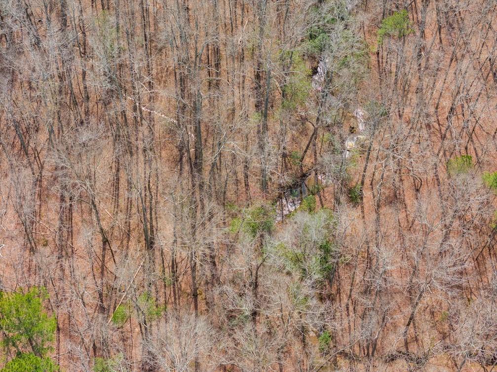 0 Clem Lowell Road Carrollton, GA 30116 - Photo 12 of 16 Gallery Image 12