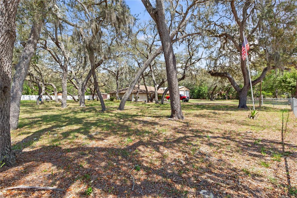14635 Boland Avenue Spring Hill, FL 34610 - Photo 1 of 1 a view of road with trees