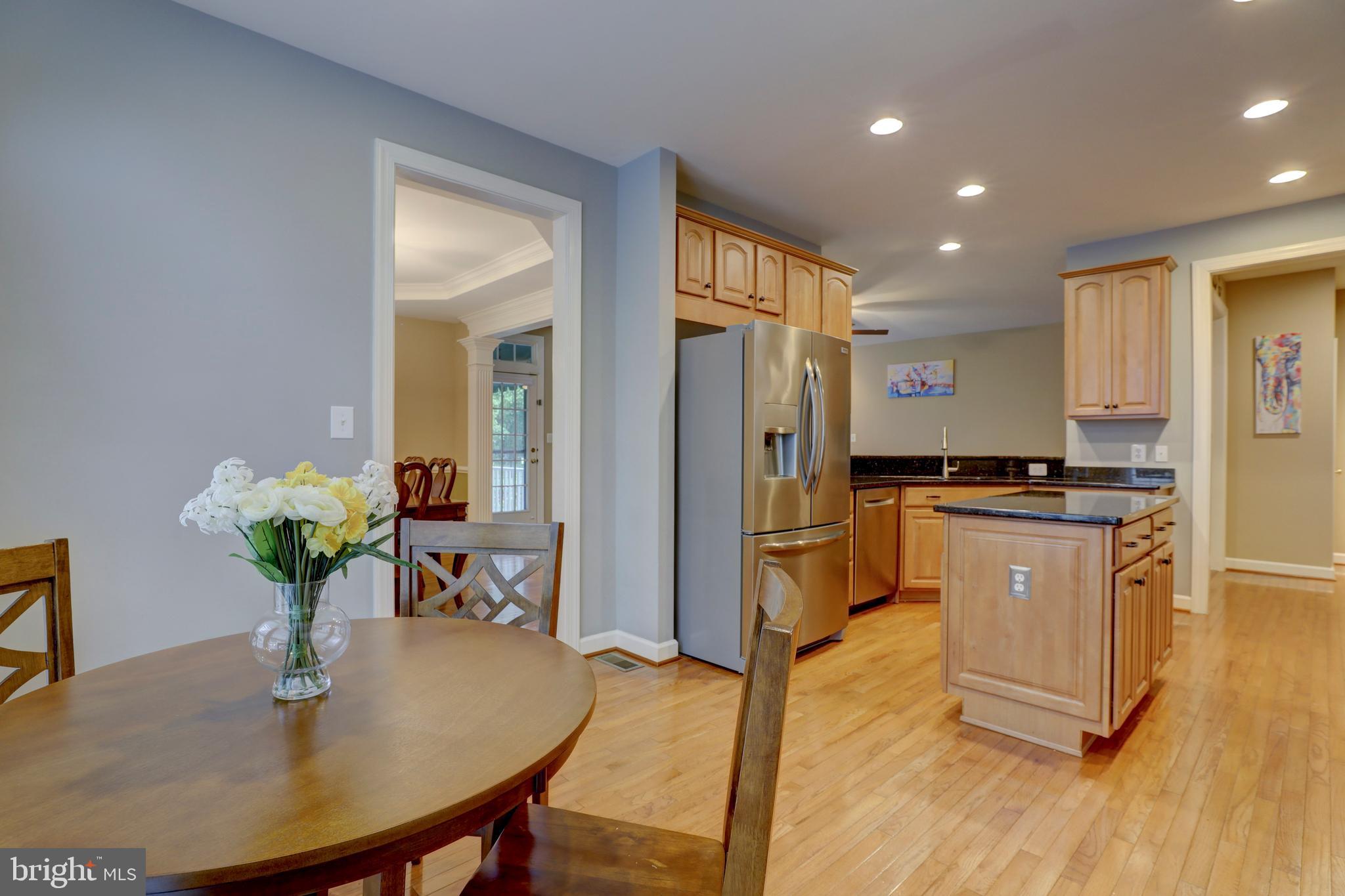 9124 Back Drop Drive Perry Hall, MD 21128 - Photo 23 of 69 Recessed Ltg