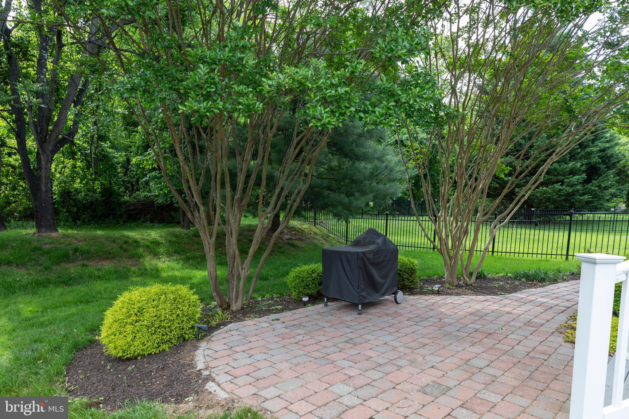 9124 Back Drop Drive Perry Hall, MD 21128 - Photo 65 of 69 a view of a garden with large trees