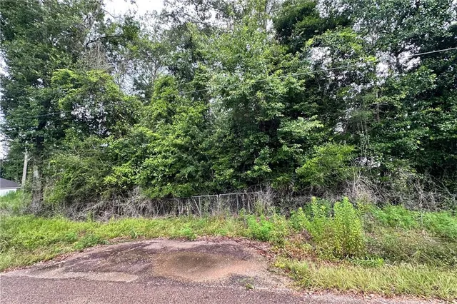 $69,000 | Lot 13-14 15 Highway, Lacombe, LA 70445