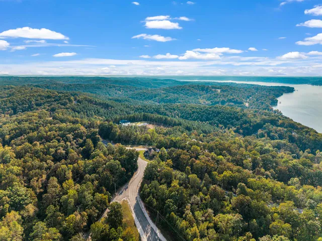 a view of a lake with lots of trees