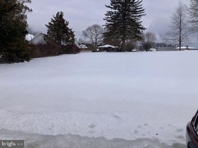 502 South Shenandoah Road Ringtown, PA 17967 - Photo 3 of 4