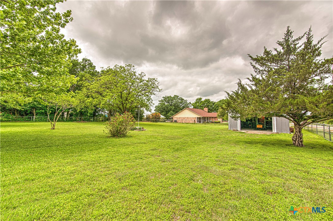 9752 Burgess Road Temple, TX 76501 - Photo 40 of 46 Large Pecan tree