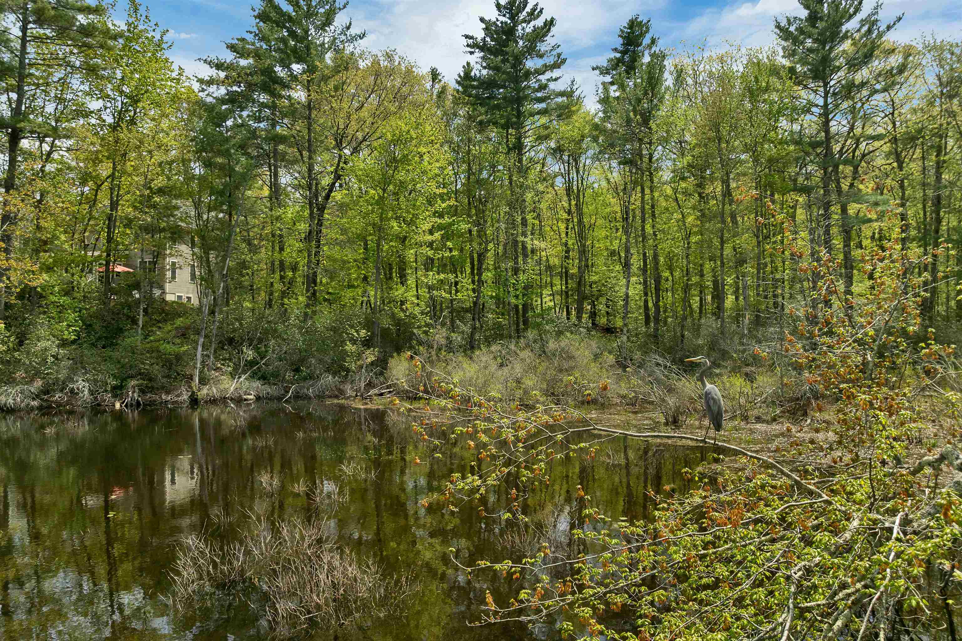 281 New Boston Road Bedford, NH 03110 - Photo 10 of 53
