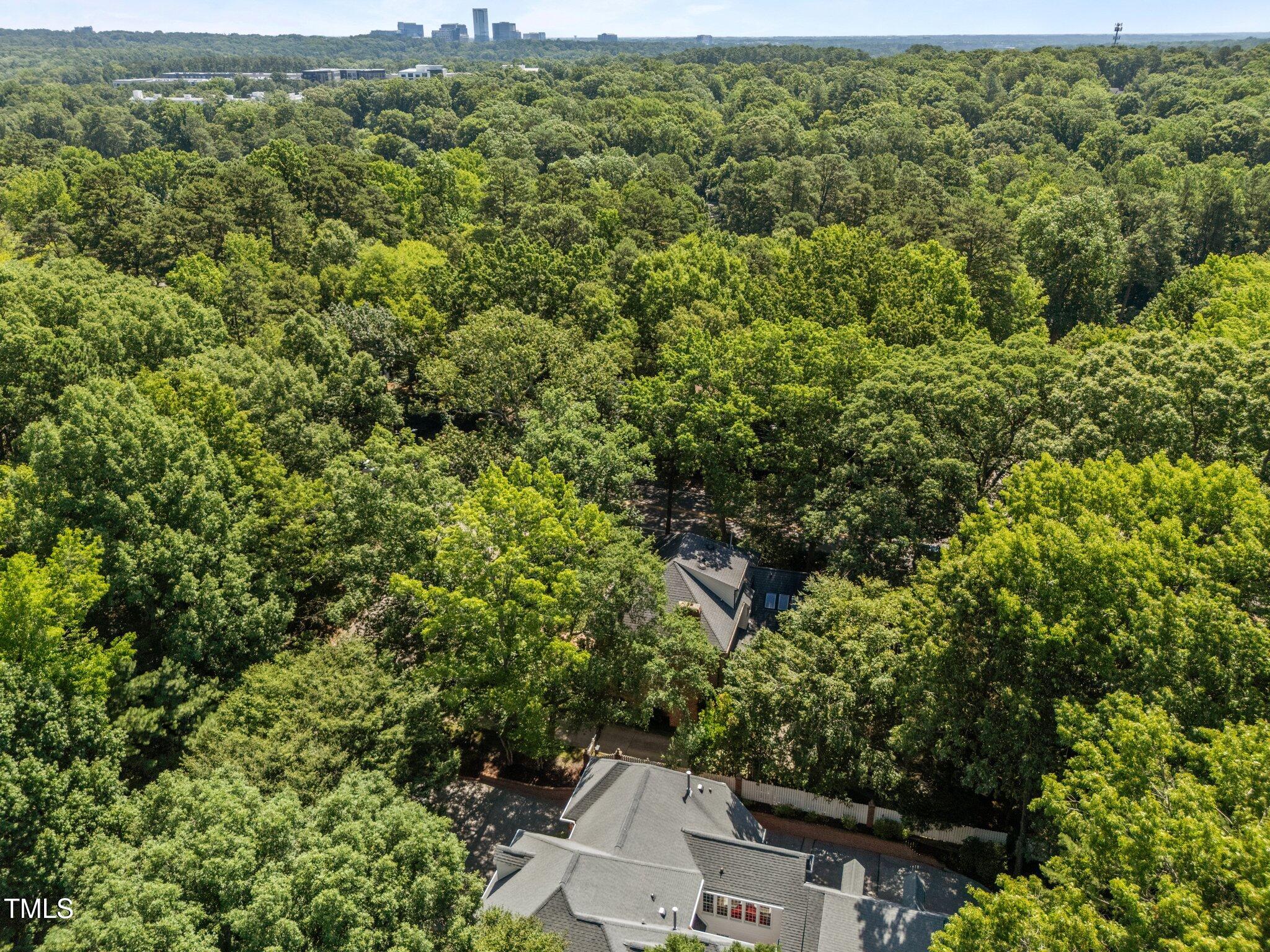 1105 Tazwell Place Raleigh, NC 27612 - Photo 65 of 72 65-web-or-mls-DJI_20250619110821_0637_D