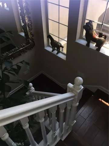 a close view of shoes