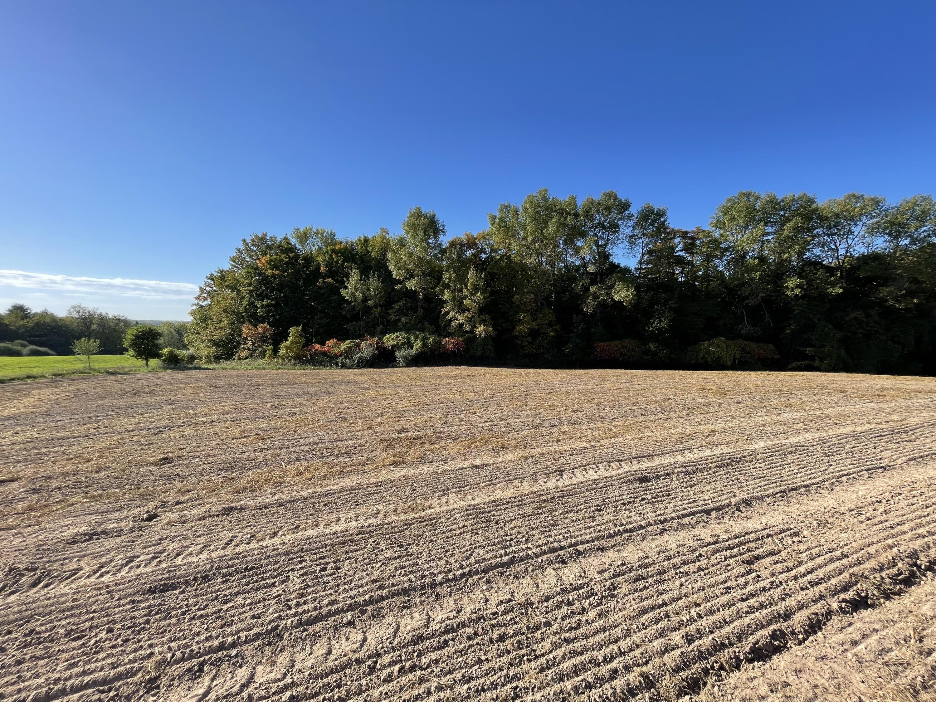 2195 20 Mile Road Northwest Kent City, MI 49330 - Photo 26 of 94 IMG_3494