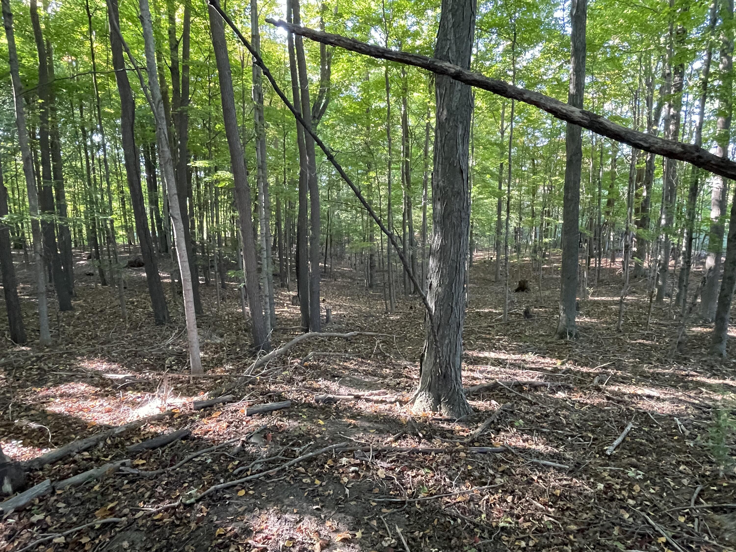 2195 20 Mile Road Northwest Kent City, MI 49330 - Photo 29 of 94 IMG_3497