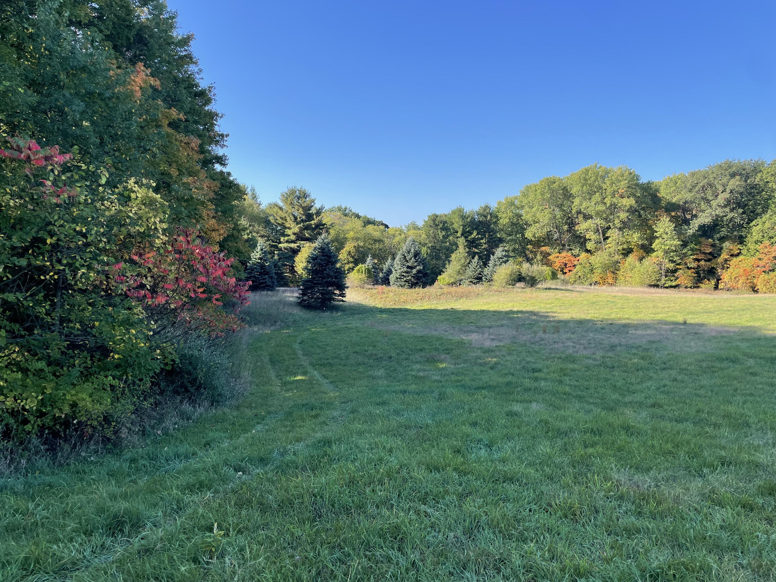 2195 20 Mile Road Northwest Kent City, MI 49330 - Photo 30 of 94 IMG_3498 2