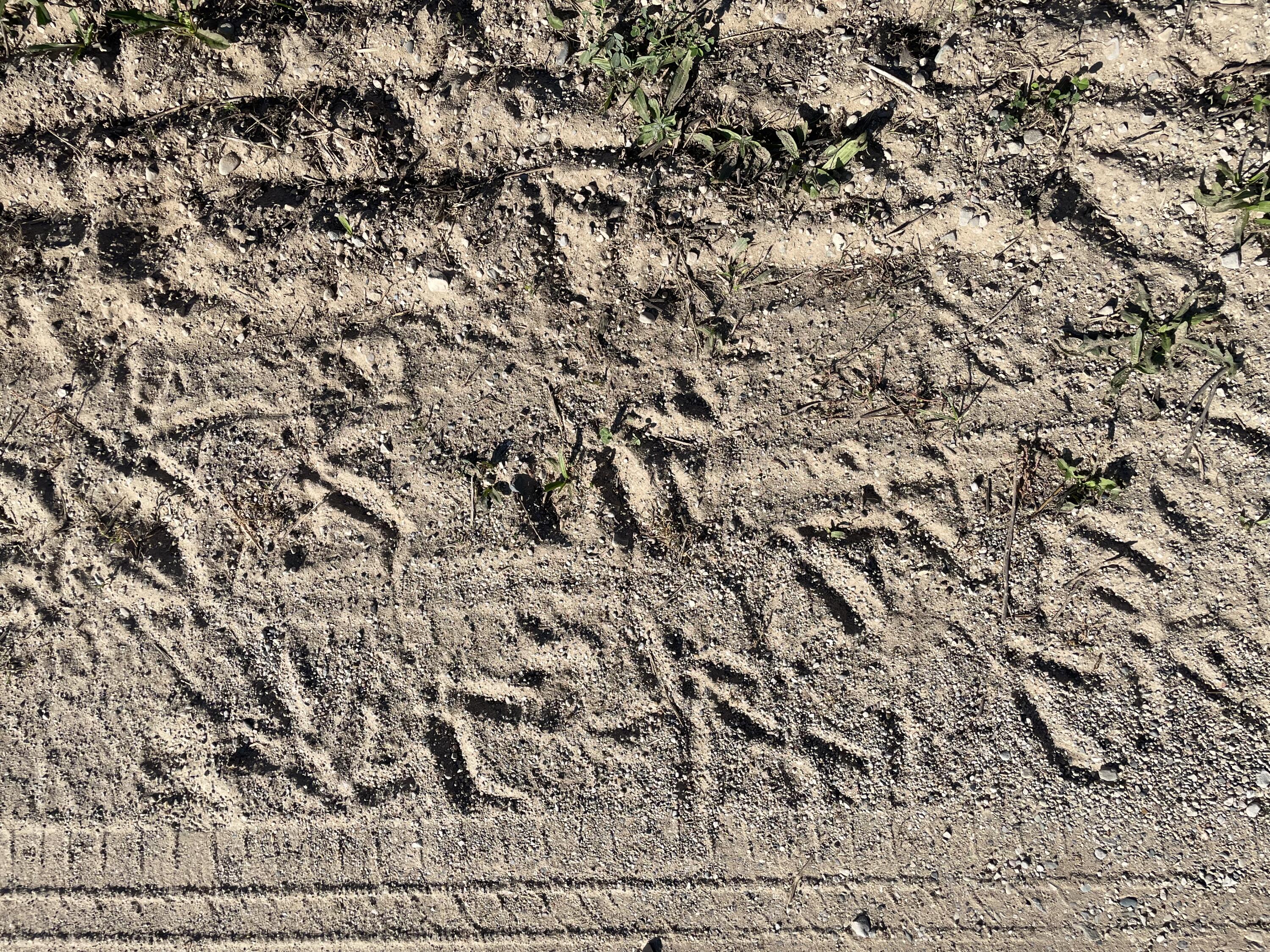 2195 20 Mile Road Northwest Kent City, MI 49330 - Photo 32 of 94 IMG_3501