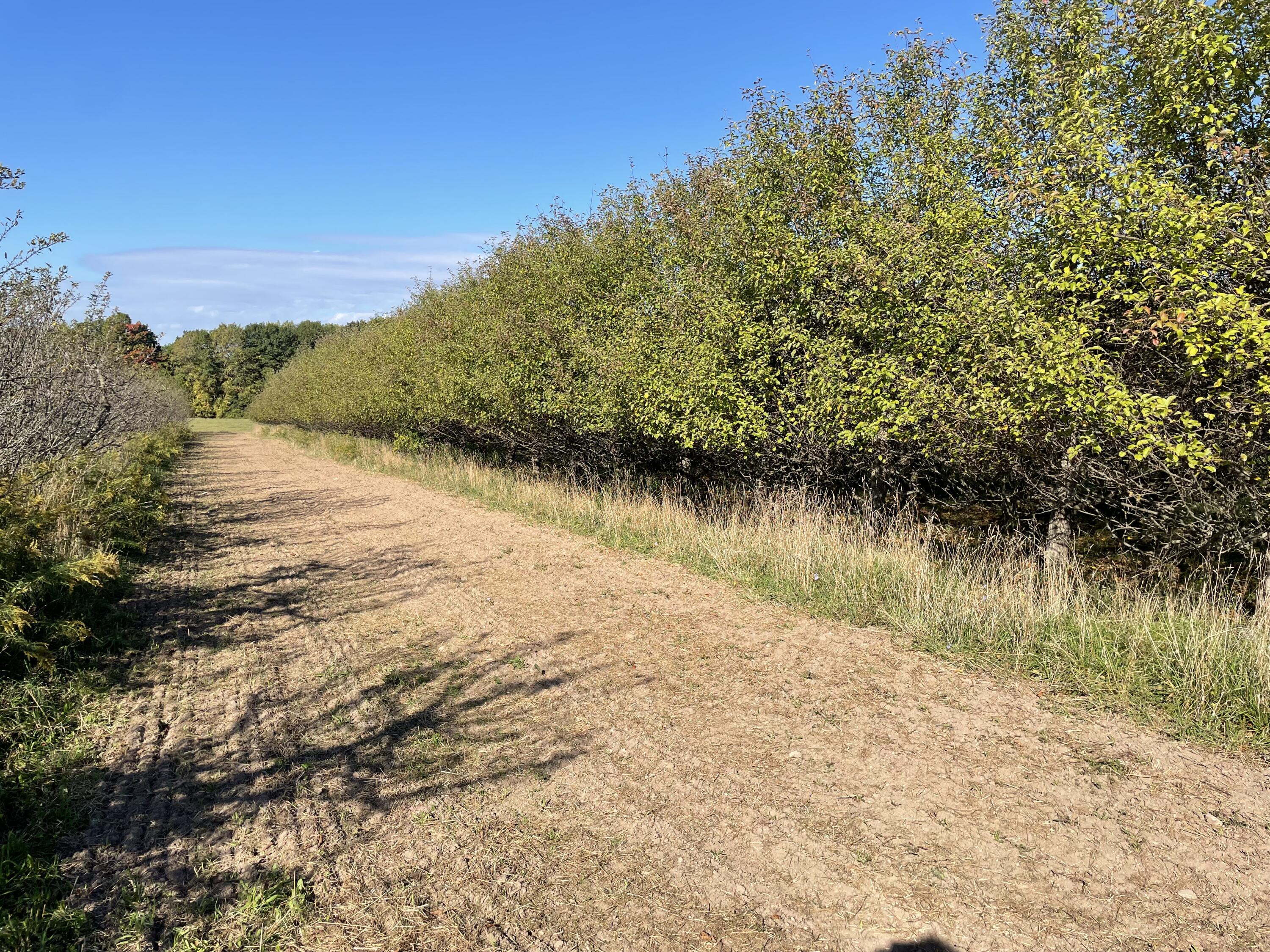 2195 20 Mile Road Northwest Kent City, MI 49330 - Photo 33 of 94 IMG_3502