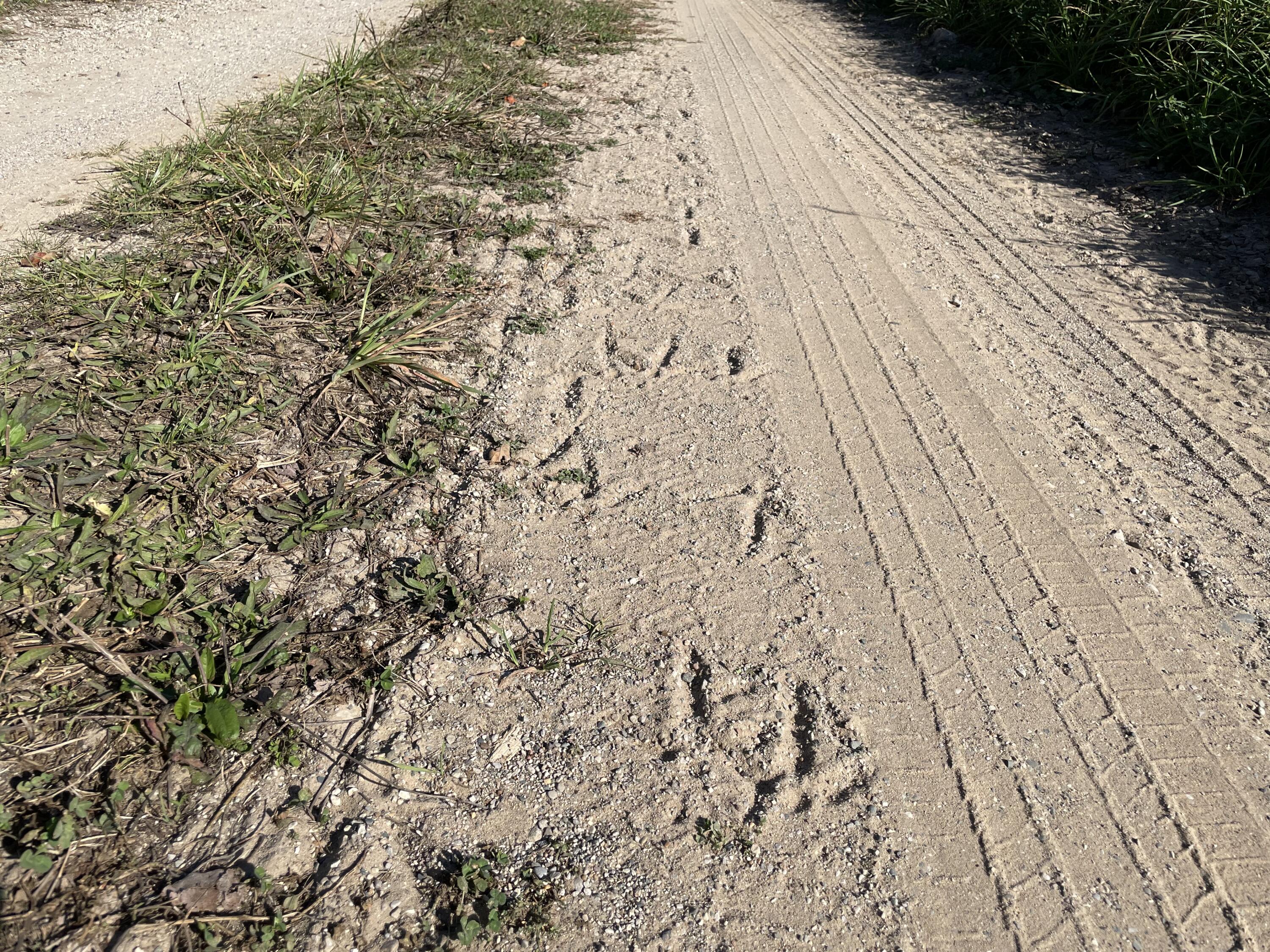 2195 20 Mile Road Northwest Kent City, MI 49330 - Photo 34 of 94 IMG_3504