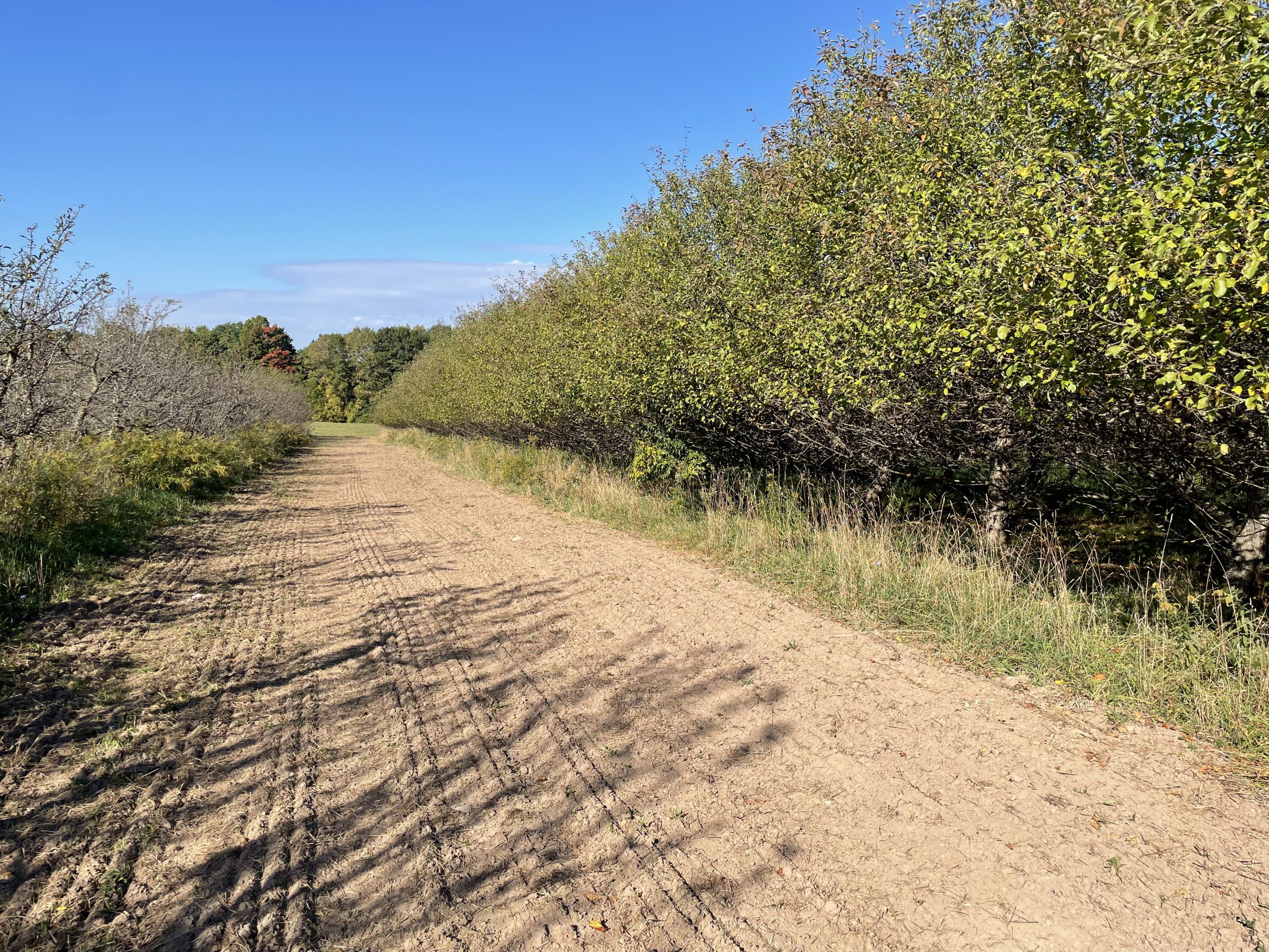 2195 20 Mile Road Northwest Kent City, MI 49330 - Photo 35 of 94 IMG_3505