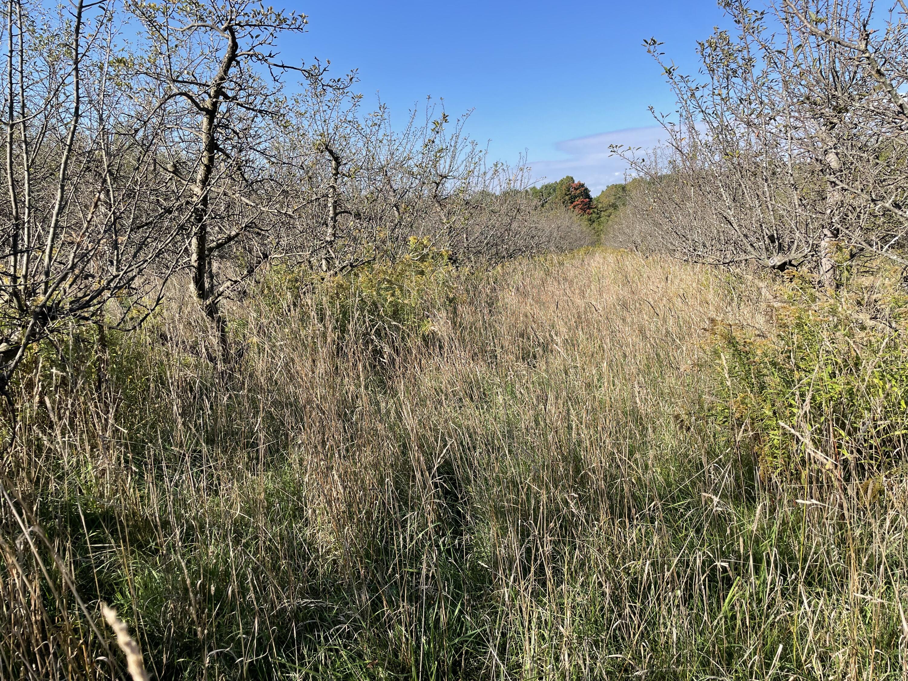 2195 20 Mile Road Northwest Kent City, MI 49330 - Photo 36 of 94 IMG_3506