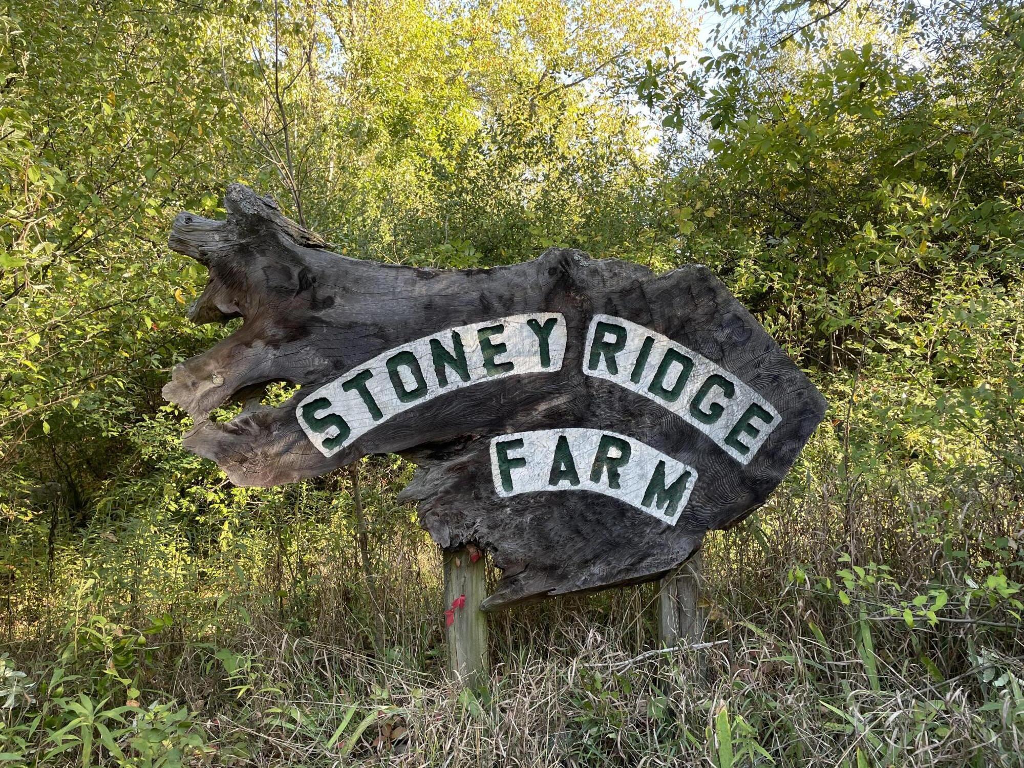 2195 20 Mile Road Northwest Kent City, MI 49330 - Photo 4 of 94 IMG_3482