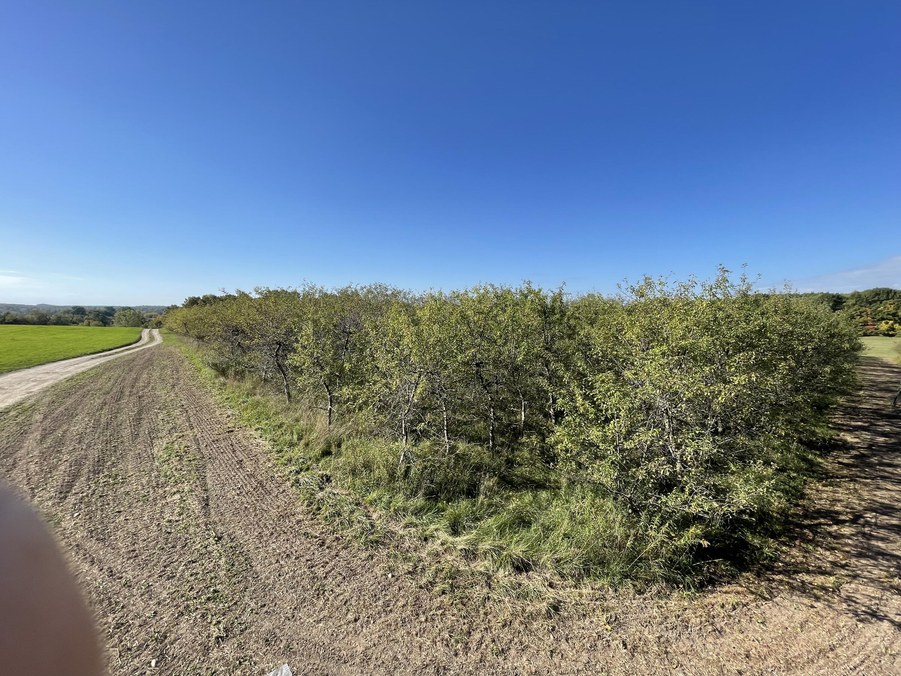 2195 20 Mile Road Northwest Kent City, MI 49330 - Photo 42 of 94 IMG_3513