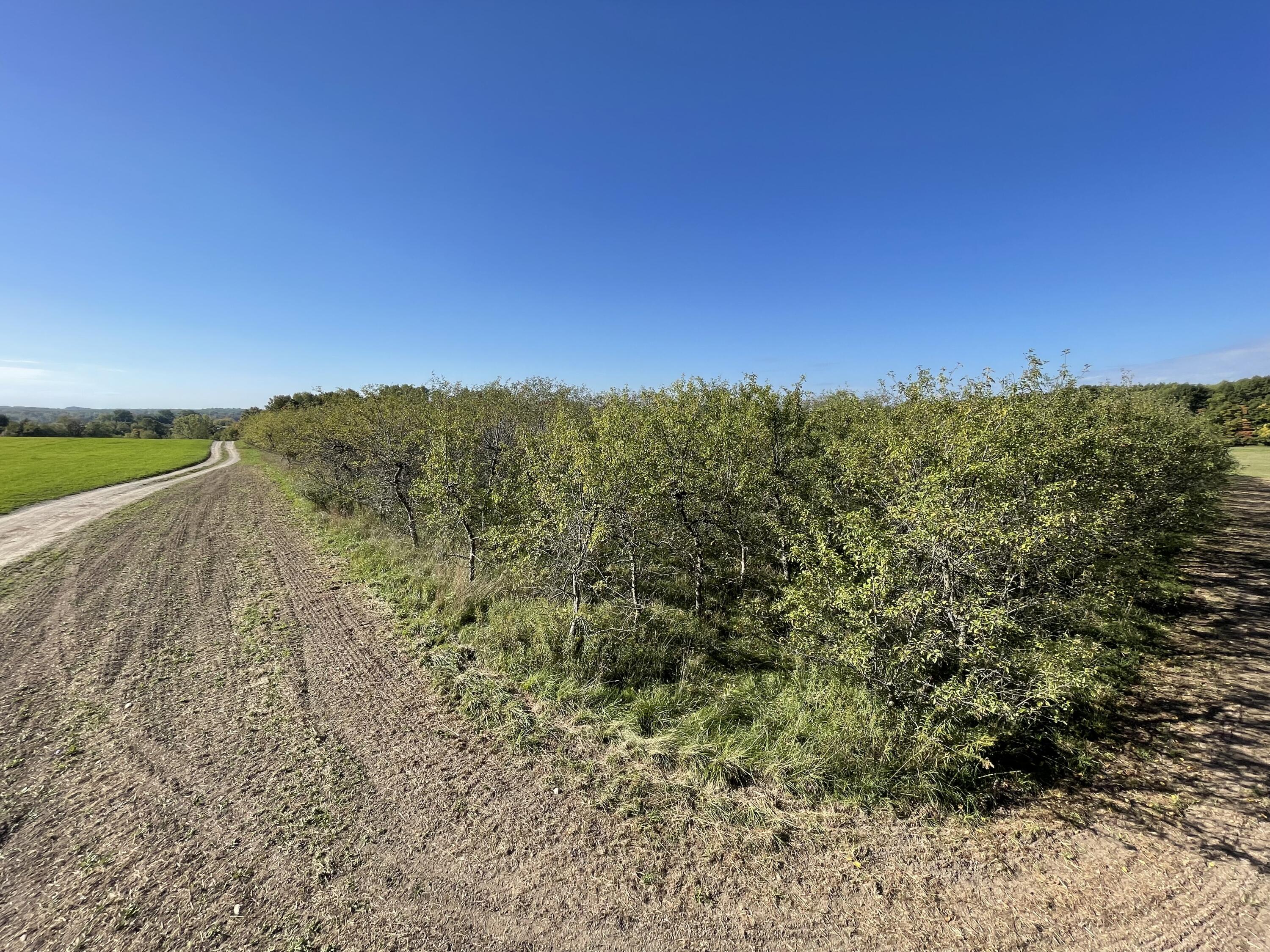 2195 20 Mile Road Northwest Kent City, MI 49330 - Photo 43 of 94 IMG_3514