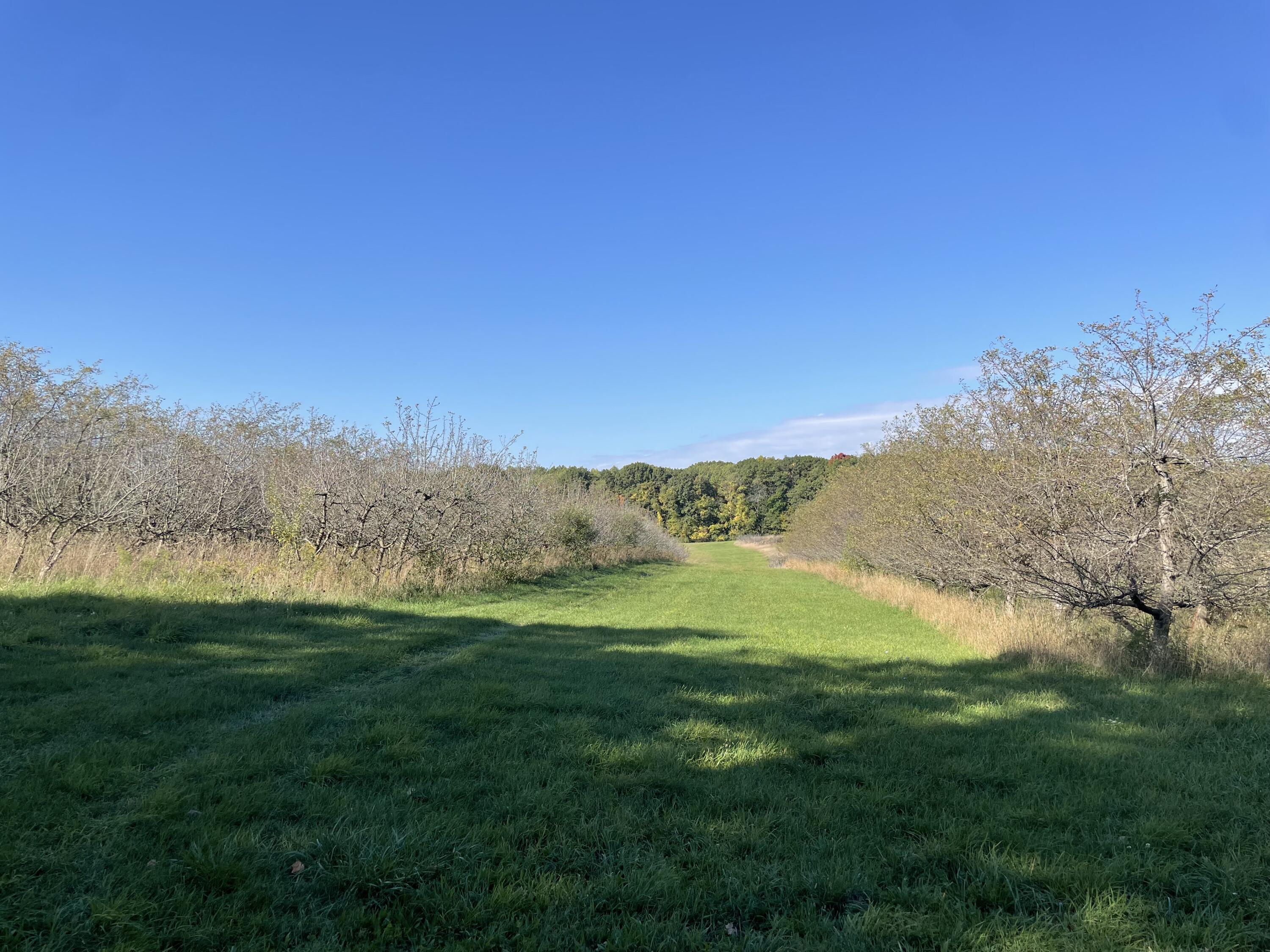 2195 20 Mile Road Northwest Kent City, MI 49330 - Photo 45 of 94 IMG_3516