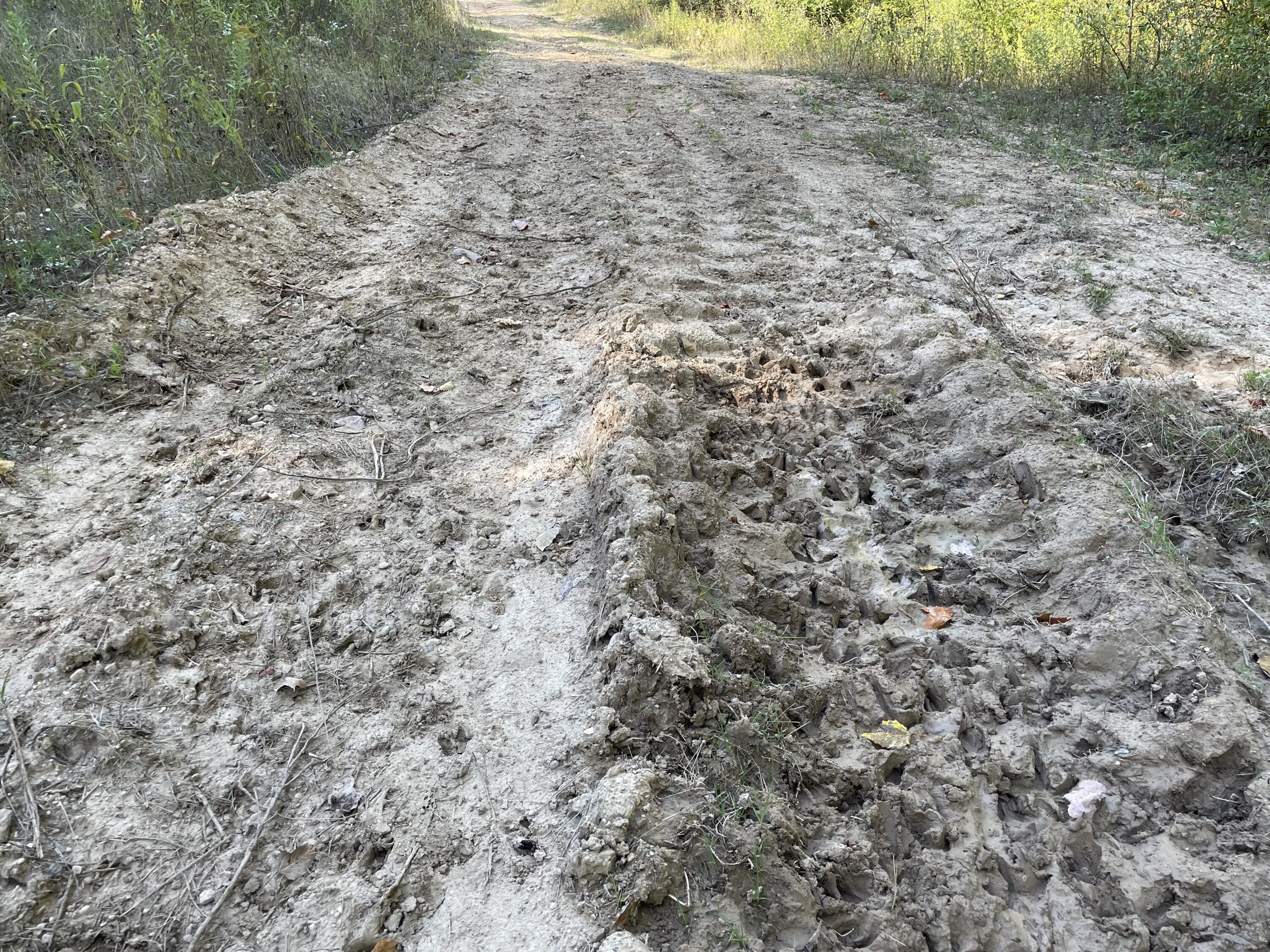 2195 20 Mile Road Northwest Kent City, MI 49330 - Photo 49 of 94 IMG_3521