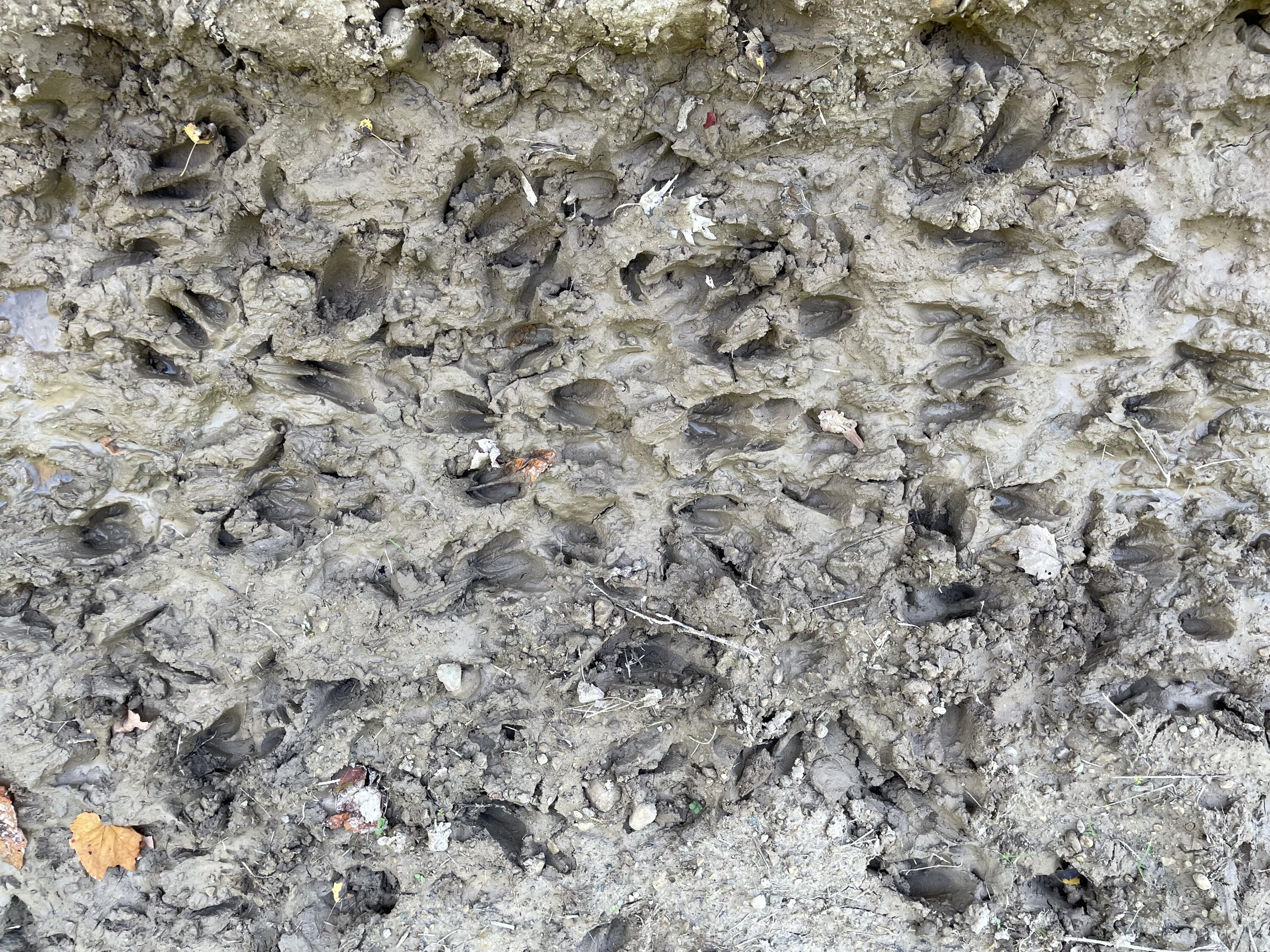 2195 20 Mile Road Northwest Kent City, MI 49330 - Photo 50 of 94 IMG_3522