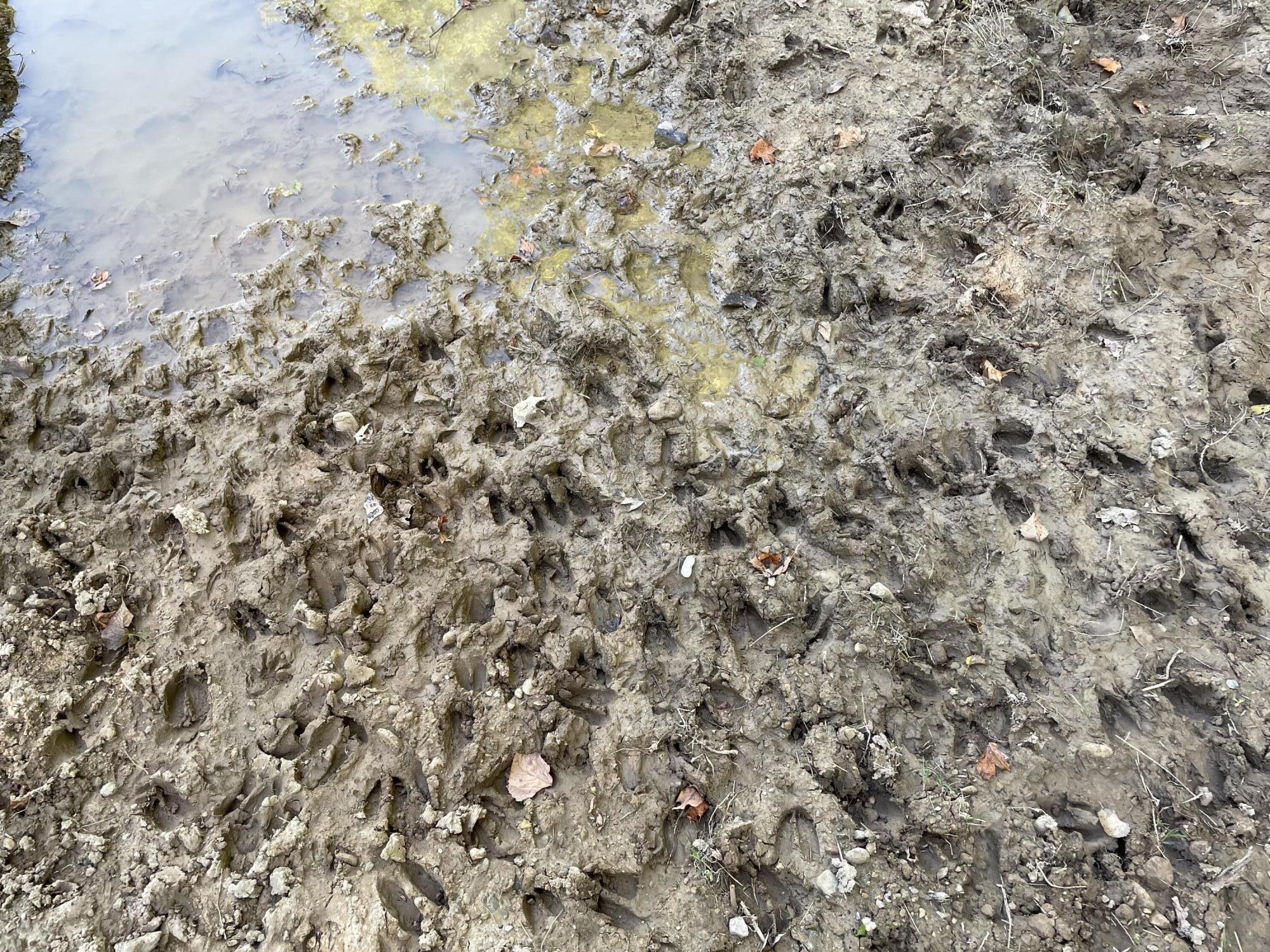 2195 20 Mile Road Northwest Kent City, MI 49330 - Photo 51 of 94 IMG_3523 2