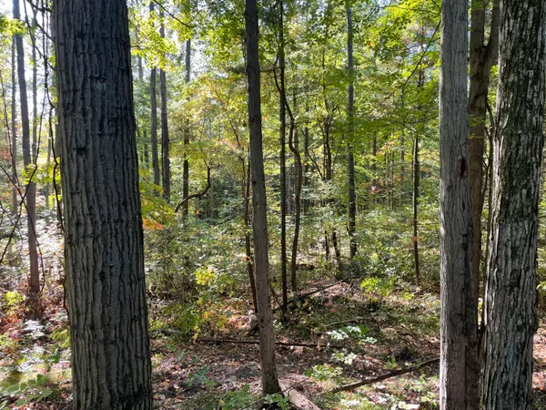 $1,400,000 | 2195 20 Mile Road Northwest, Kent City, MI 49330