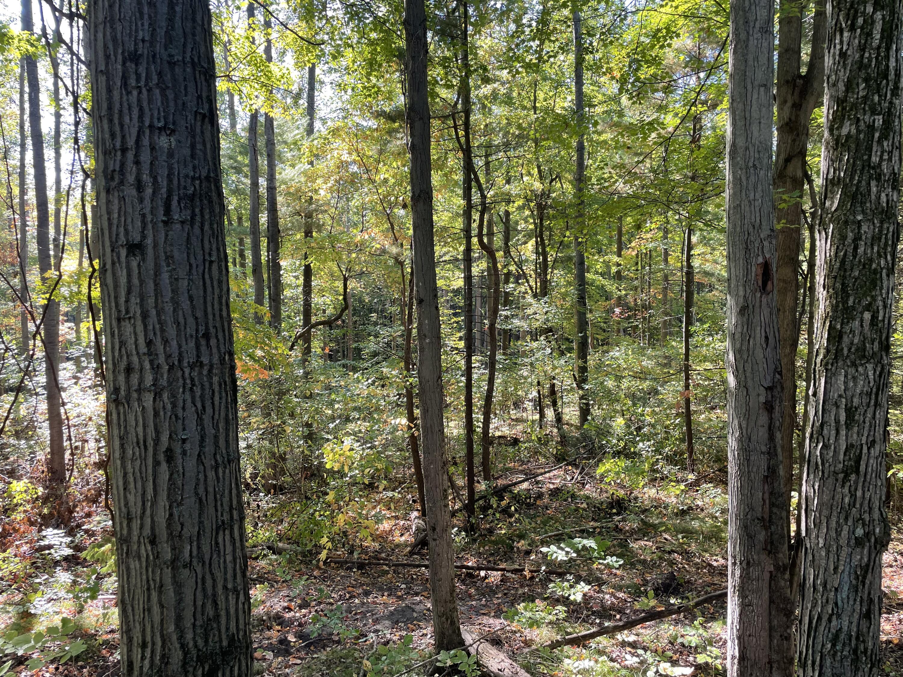 2195 20 Mile Road Northwest Kent City, MI 49330 - Photo 52 of 94 IMG_3524