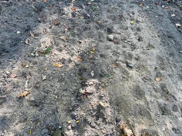 $1,400,000 | 2195 20 Mile Road Northwest, Kent City, MI 49330