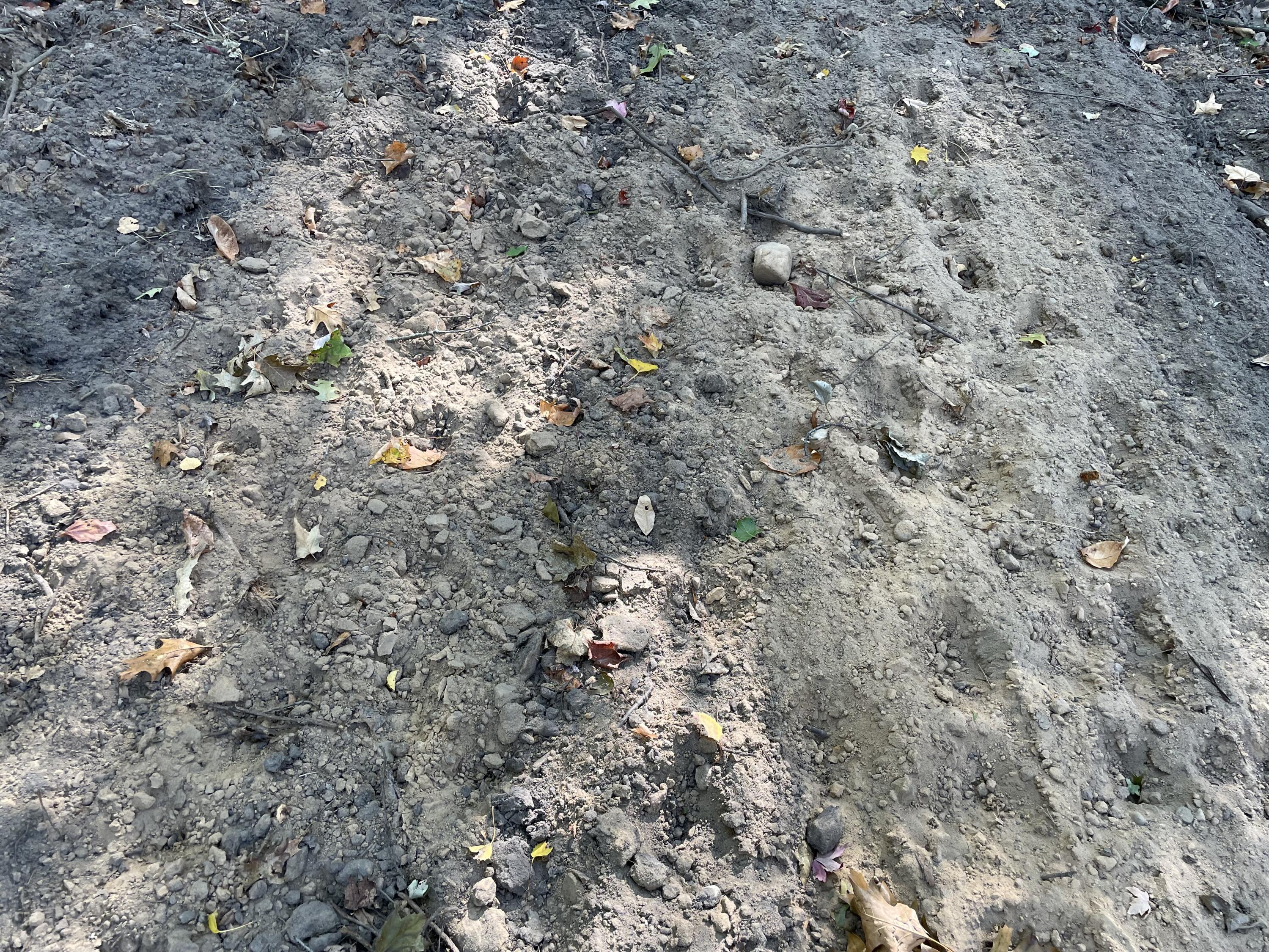 2195 20 Mile Road Northwest Kent City, MI 49330 - Photo 54 of 94 IMG_3526