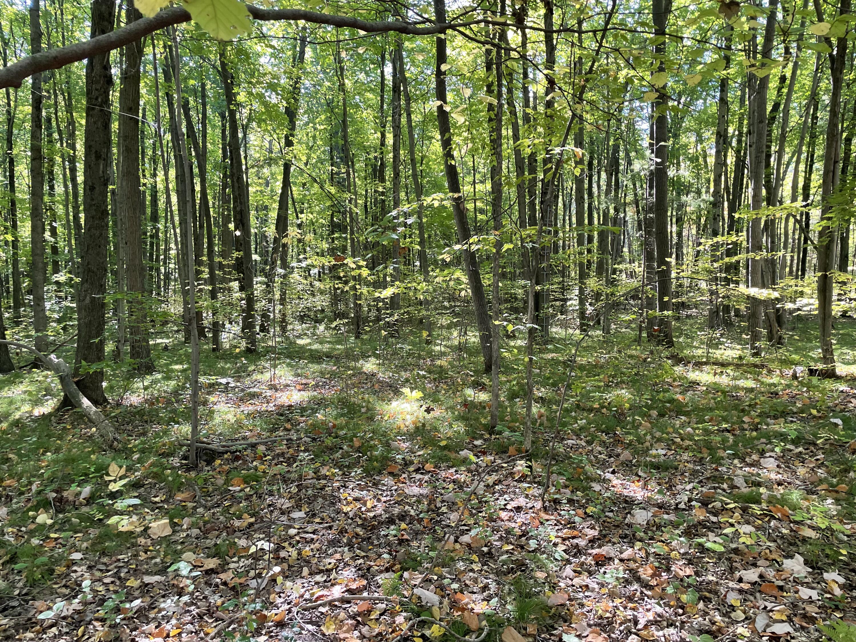 2195 20 Mile Road Northwest Kent City, MI 49330 - Photo 57 of 94 IMG_3530