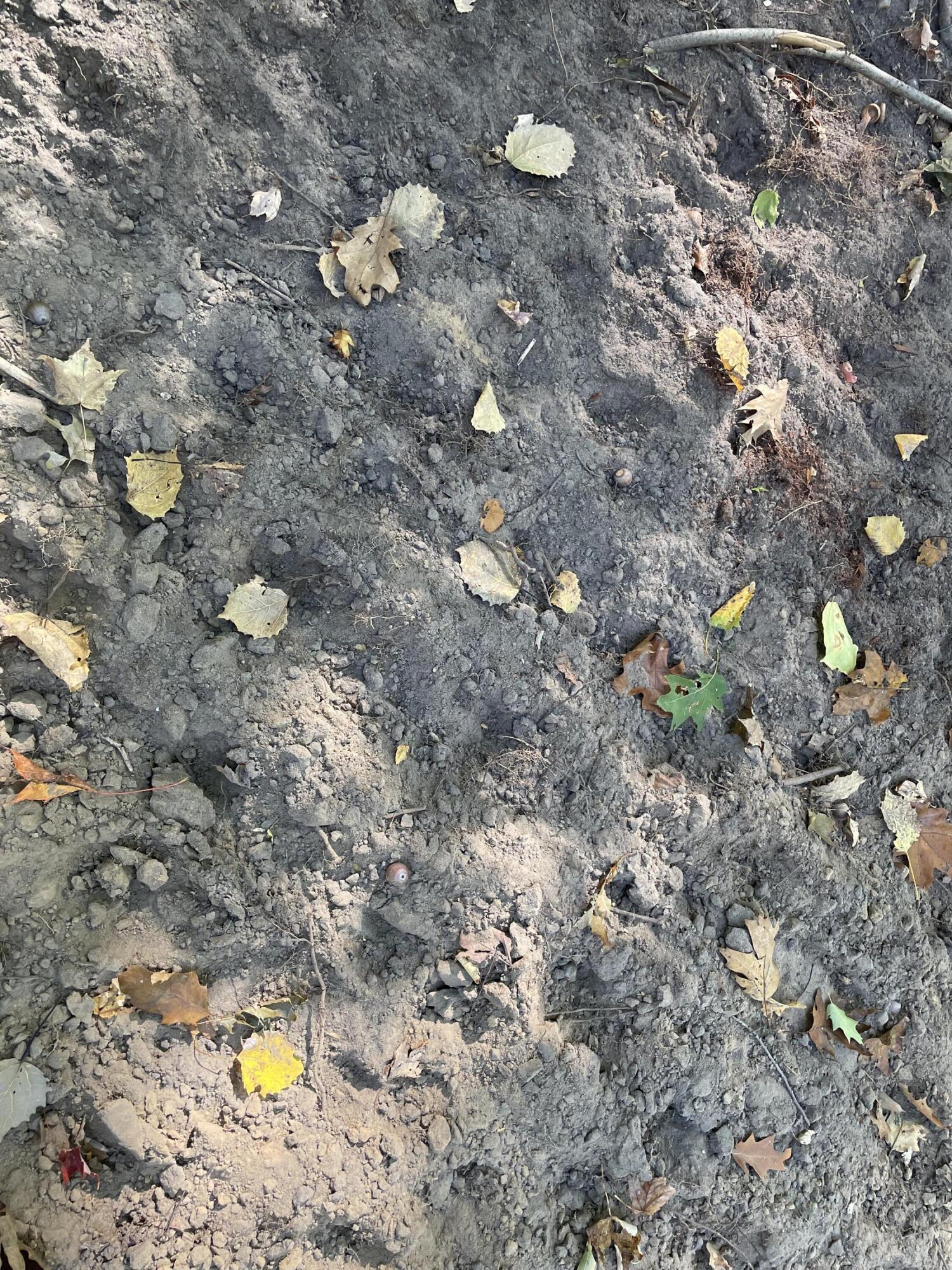 2195 20 Mile Road Northwest Kent City, MI 49330 - Photo 58 of 94 IMG_3531