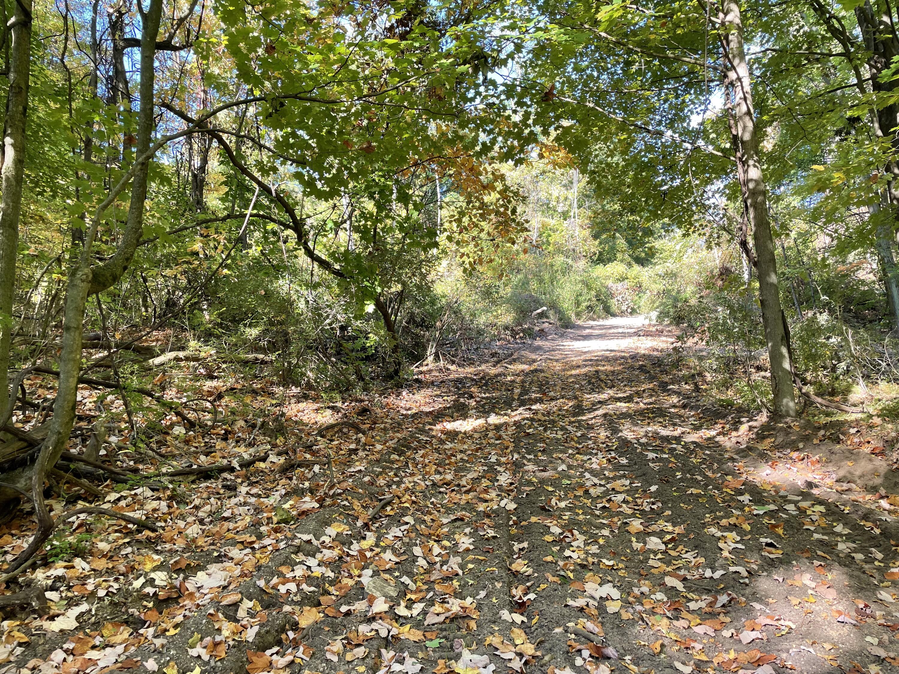 2195 20 Mile Road Northwest Kent City, MI 49330 - Photo 59 of 94 IMG_3532